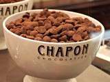 Salon du Chocolat 2013 : découverte et régalade