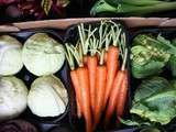 Mini légumes de saison, petites inspirations recettes pour maxi-plaisir