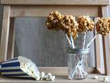 Plus une miette dans l'assiette x Lily's Kitchen Book : Les sucettes pop-corn au caramel au beurre salé