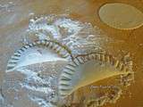 Ravioli-maisons épinards et ricotta (vegan)