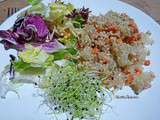 Salade de quinoa au pomelo blanc et carottes