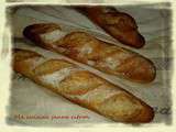 Baguettes à la farine de blé Kamut