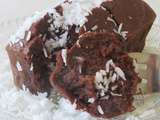 Fondant au chocolat à la farine de noix de coco sans gluten ni lactose
