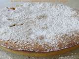Gâteau aux abricots sans gluten sans lactose et sans matière grasse