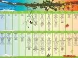 Calendrier des fruits et légumes chez Greenpeace