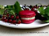 Macaron groseille vanille