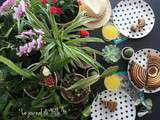 Planty Table Setting / Planty Appétit Tasty Jungle / Tropical Food Urban Jungle Bloggers May 2016