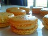 Macarons chèvre et miel
