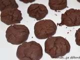 Biscuits moelleux au chocolat (sans oeuf)