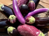 Tout savoir ou presque sur … les aubergines