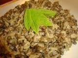 Riz, lentilles vertes et oignon, c'est un Moujadara libanais