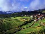 Route des vins d’Alsace souffle une bougie de plus