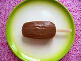 Glace hyperprotéinée chocolat cacahuète au soja à 140 kcal (allégée, diététique, végétarienne, sans beurre ni oeuf ni sucre)