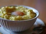 Oeufs au nid