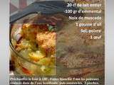 Gratin dauphinois aux poireaux