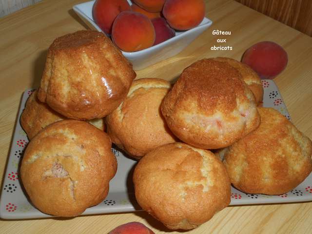 Recettes de Gâteau aux Abricots de Mes recettes et photos de gâteaux