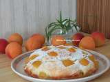 Gâteau Ricotta-Abricots