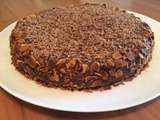 Gâteau Moelleux Amandes Chocolat