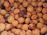 Veau aux olives et aux champignons – Miamamia