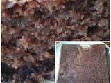 Gâteau au chocolat inratable