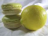 Macarons citron citron vert