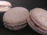 Macarons fraises noix de coco