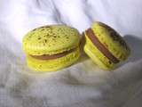 Macarons mogadors : fruit de la passion et chocolat au lait