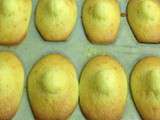 S madeleines