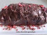 Cake chocolat-gianduja