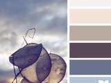 Design seeds | nature tones | for all who color