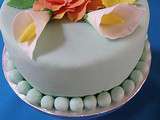 Gâteau printanier (génoise clémentine-pamplemousse)