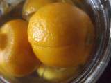 Moroccan Preserved Lemon / Pickled Lemons/ l'hamd Mssayr or l'hamd Mra9d