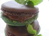 Violet and Mint French Macarons / Macarons Français Violets et à la Menthe