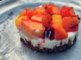 Cheesecake sans cuisson mangue & framboise