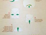 Technique de pliage rouleaux de printemps, nems