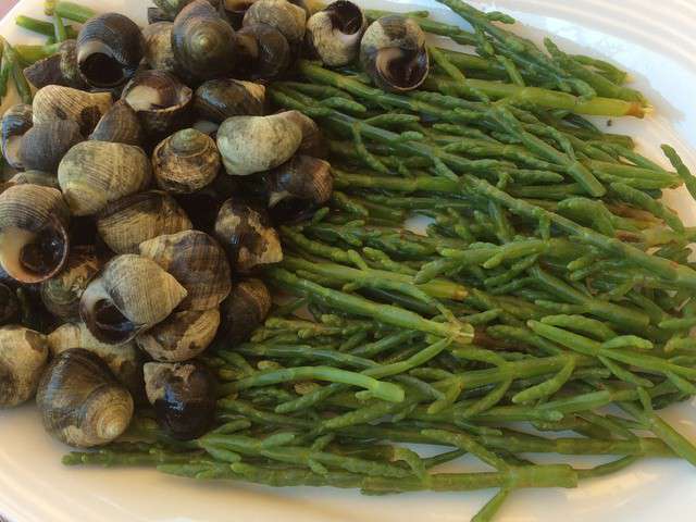 Cuisson Bigorneaux Eau Froide Bigorneaux – Produits De La Mer 30 Recettes de Bigorneaux