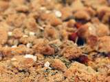 Crumble de butternut et carottes des sables au gorgonzola