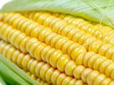 Légume de saison : le maïs