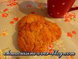 Biscuit anzac (avoine et noix de coco)