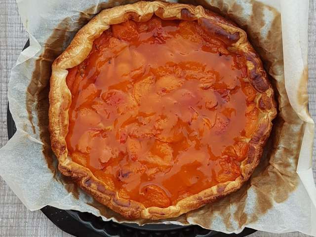 Recettes De Tarte Fine De Papilles L Aff T