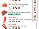 Astuces : Petit mémo pour bien choisir et consommer les tomates