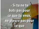 Citation du jour