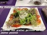 Sauce sésame et tournesol, salade de crudités aux graines germées et jeunes pousses