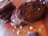 Biscuits au chocolat et Fleur de sel de Pierre Hermé