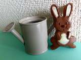 Petits lapins de Pâques tout chocolat