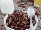 Granola Cacao - Coco