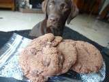 Cookies aux cacahuètes caramélisées