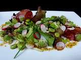 Salade de feves, radis & bresaola, vinaigrette basquaise