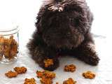 Biscuits pour chiens aux pommes et carottes