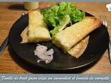 Feuille de brick façon crêpe au camembert et émincés de courgette